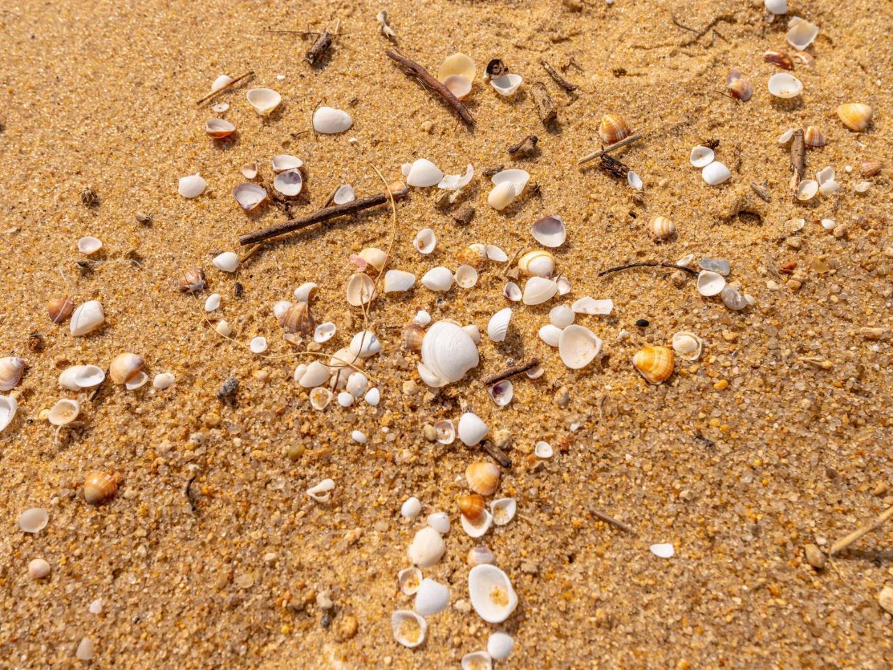 Pousada Pe Na Areia Карагуататуба Екстериор снимка